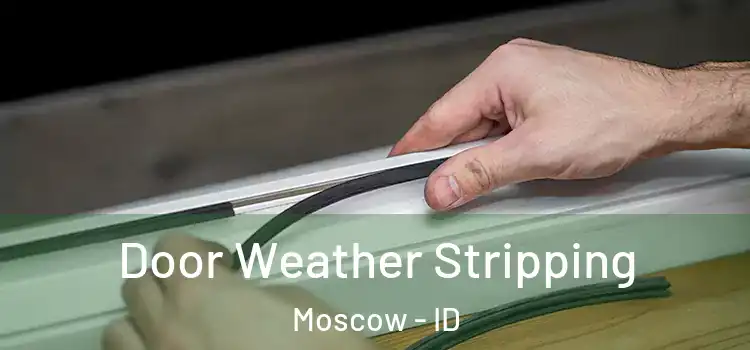 Door Weather Stripping Moscow - ID