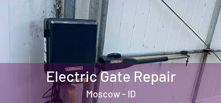 Electric Gate Repair Moscow - ID