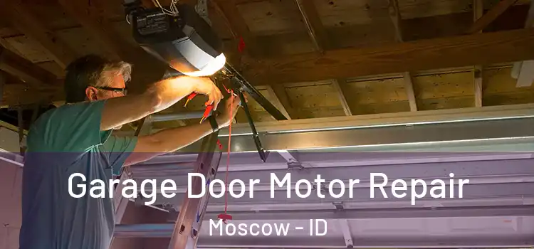  Garage Door Motor Repair Moscow - ID