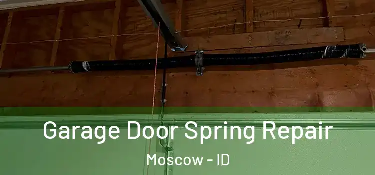  Garage Door Spring Repair Moscow - ID