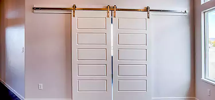 Glass Barn Door with Installation Hardware Kit Moscow