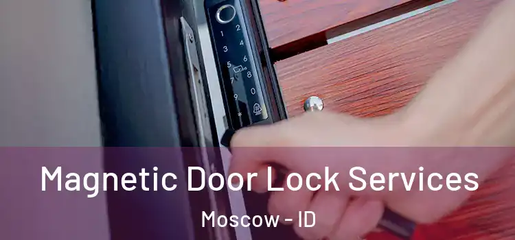 Magnetic Door Lock Services Moscow - ID