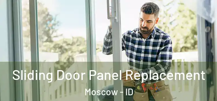 Sliding Door Panel Replacement Moscow - ID